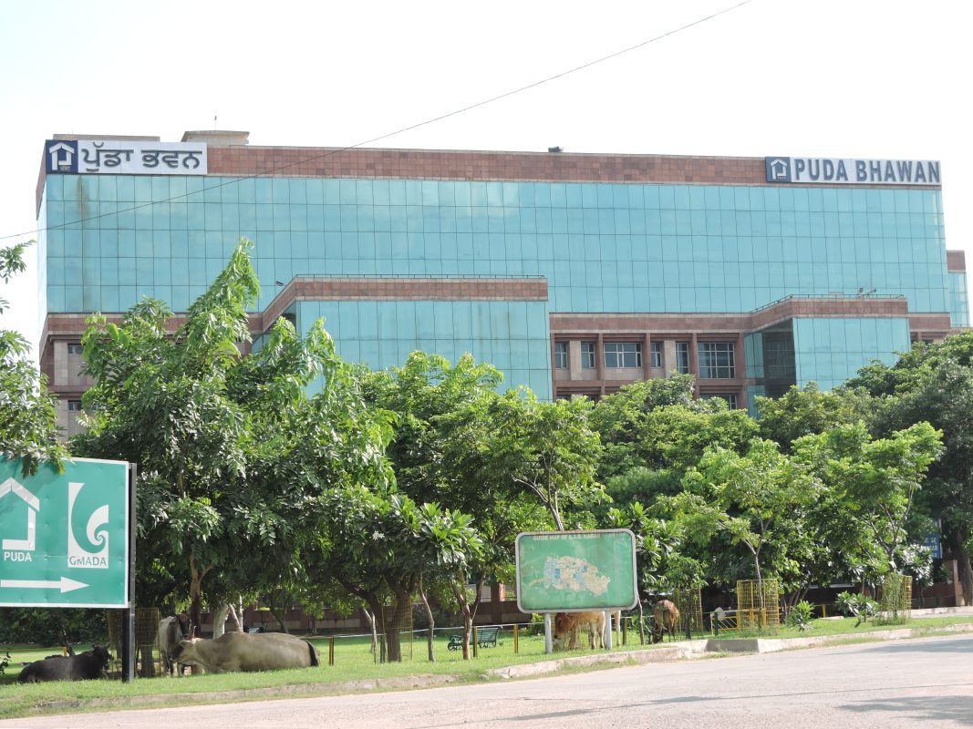 PUDA-Compliant Combo DSC